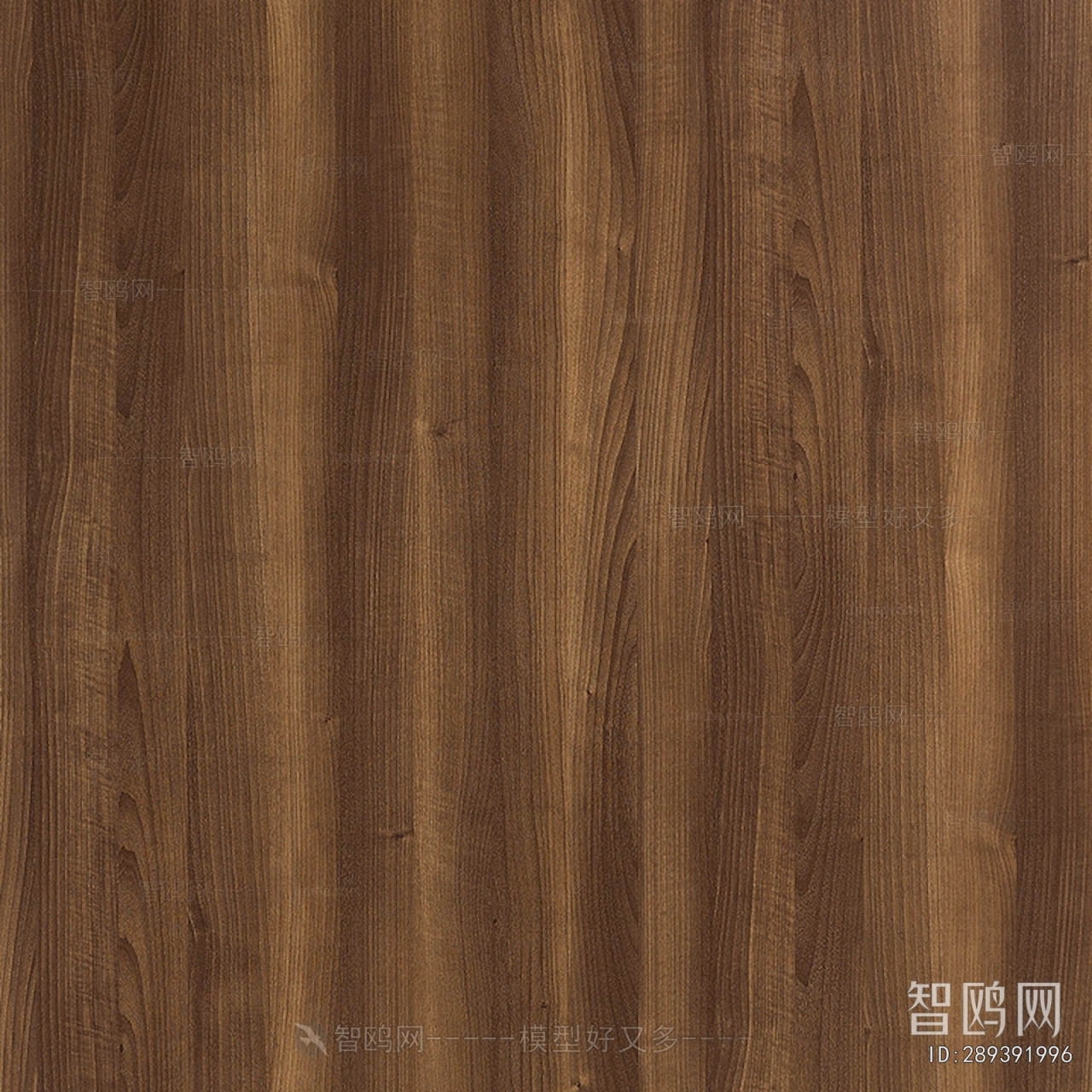 Wood Texture
