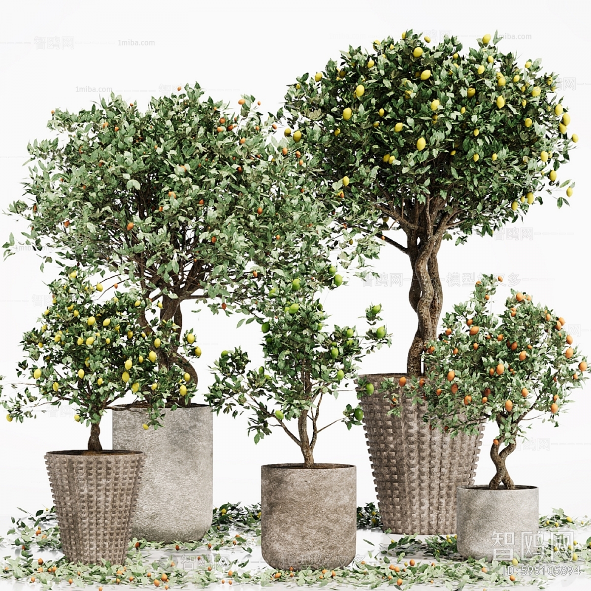Modern Ground Green Plant Potted Plants