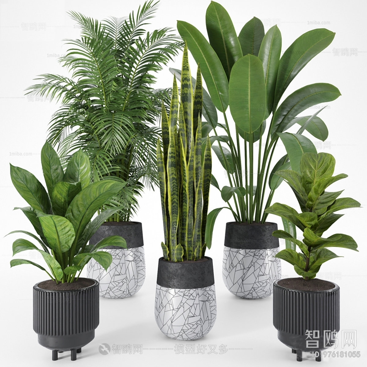 Modern Ground Green Plant Potted Plants