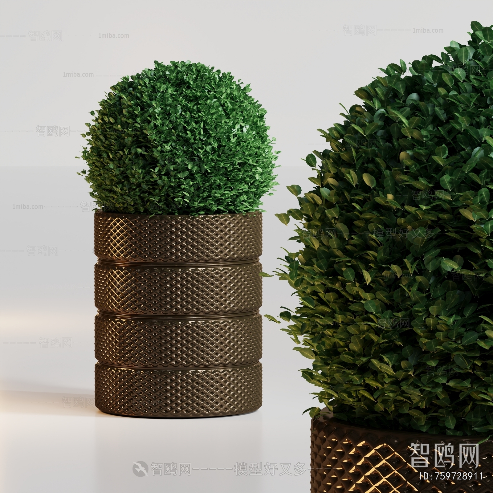 Modern Flower Bed, Flower Bowl, Flower Box