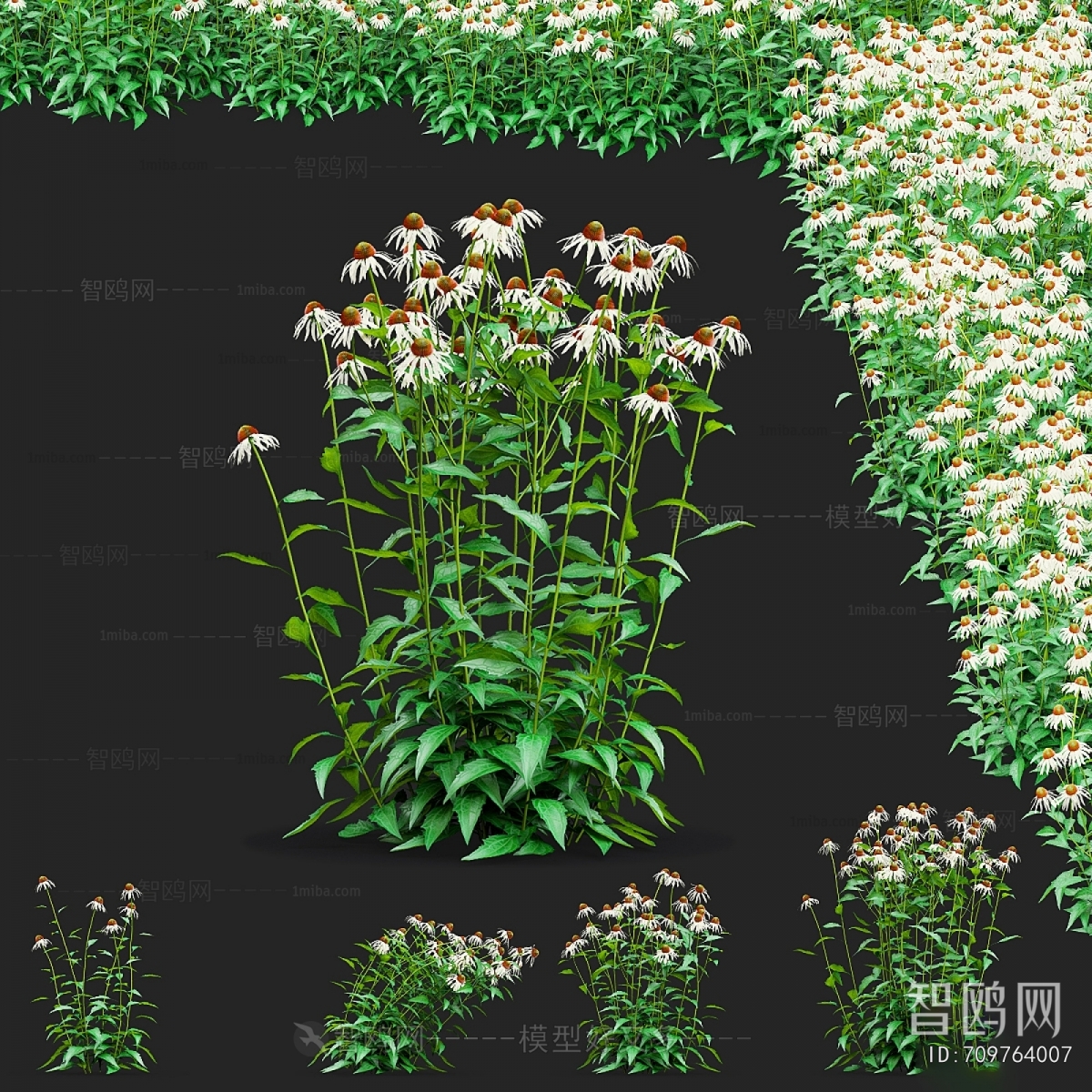 Modern Flowers And Grass