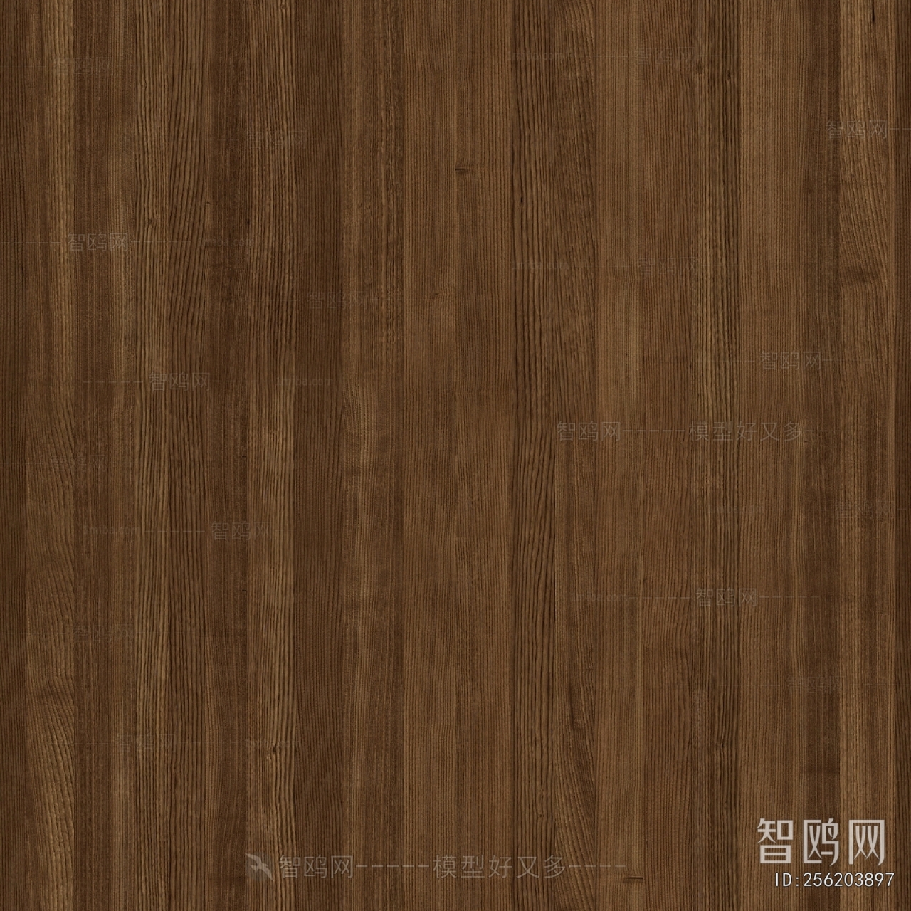 Wood Texture