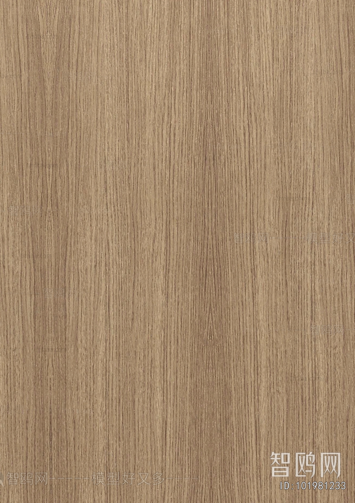 Wood Texture