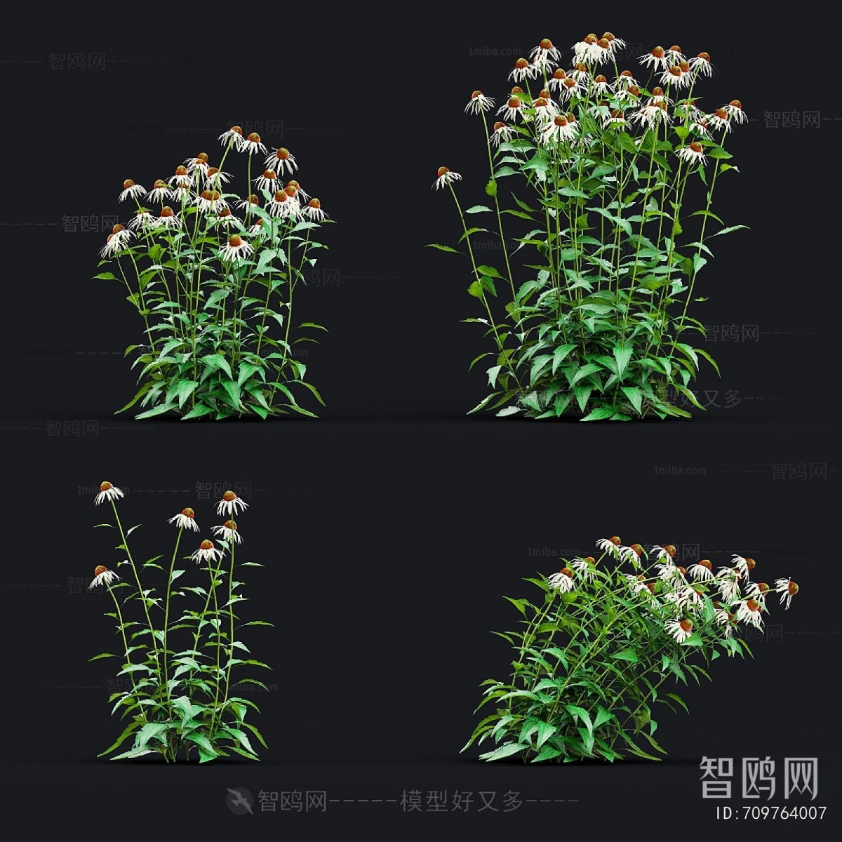 Modern Flowers And Grass