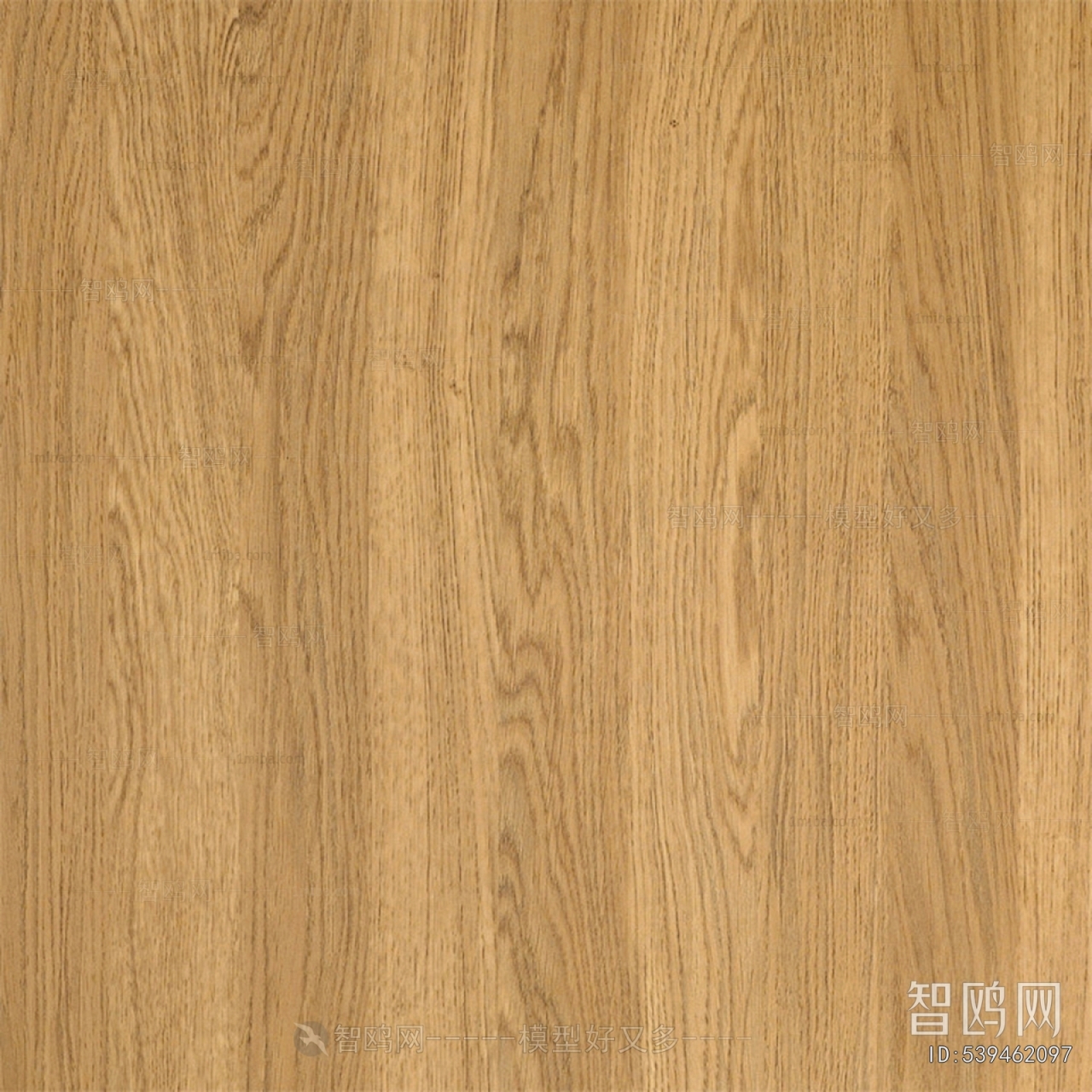 Wood Texture