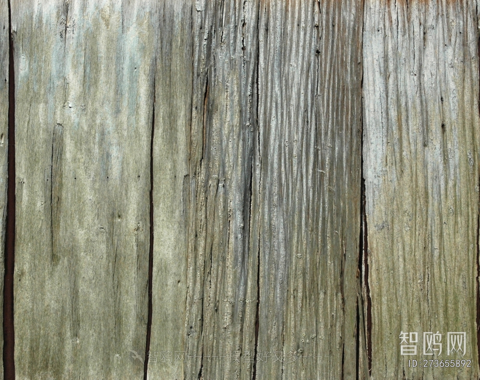 Wood Texture