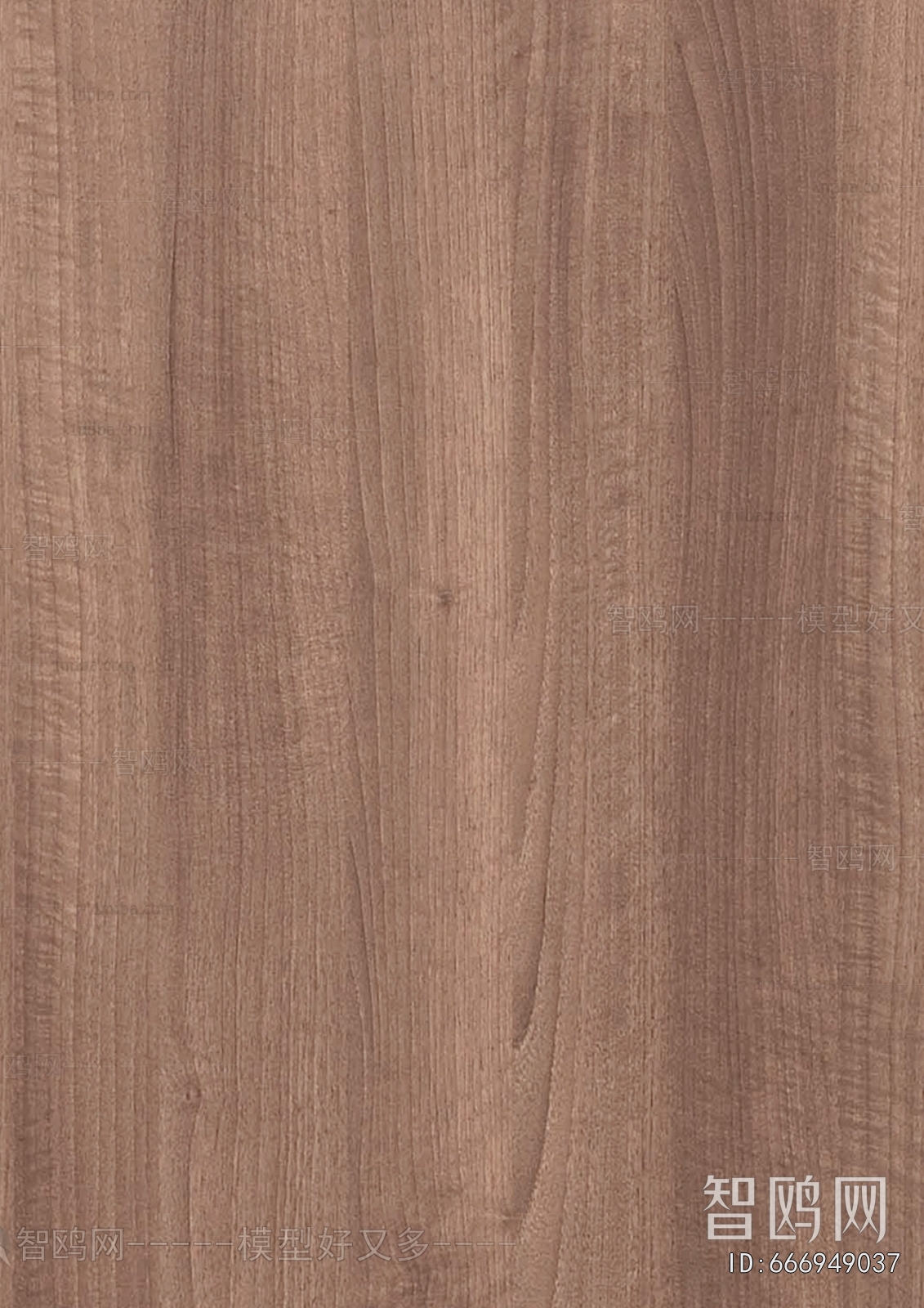 Wood Texture