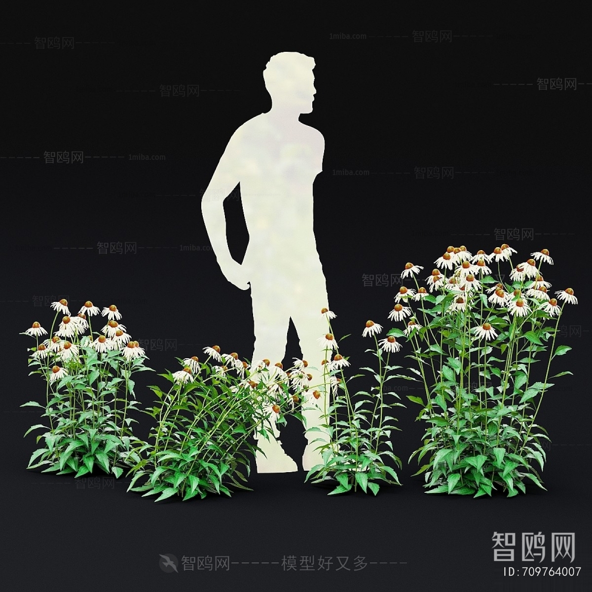 Modern Flowers And Grass