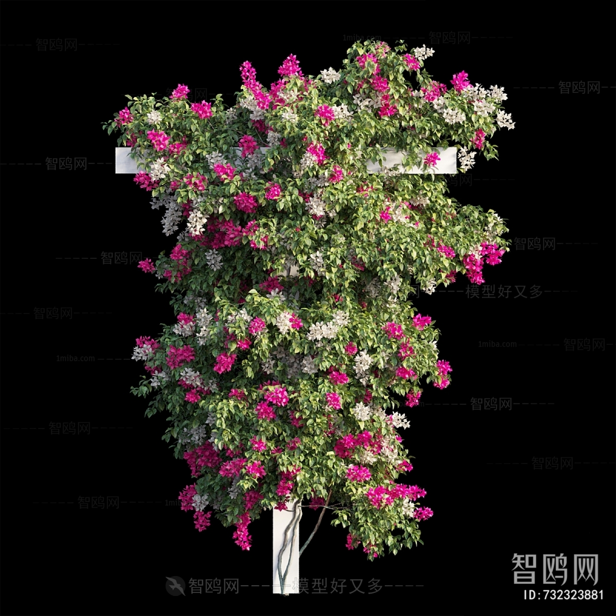 Modern Flowers And Grass