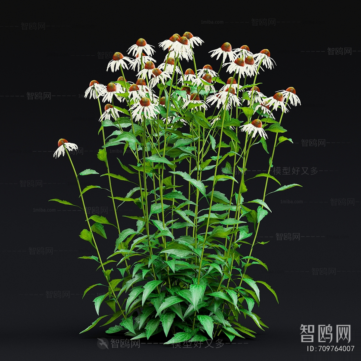 Modern Flowers And Grass