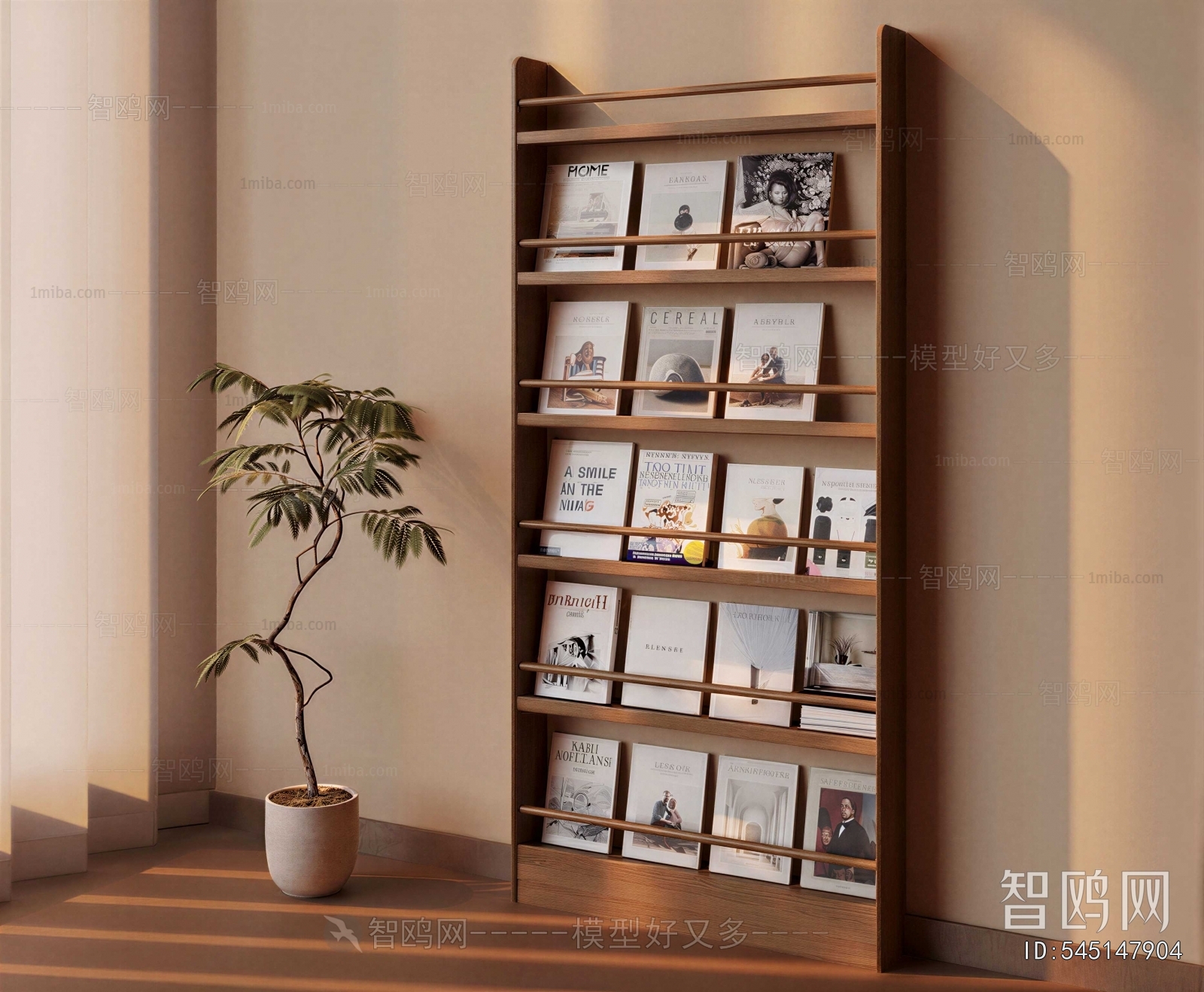 Modern Bookcase