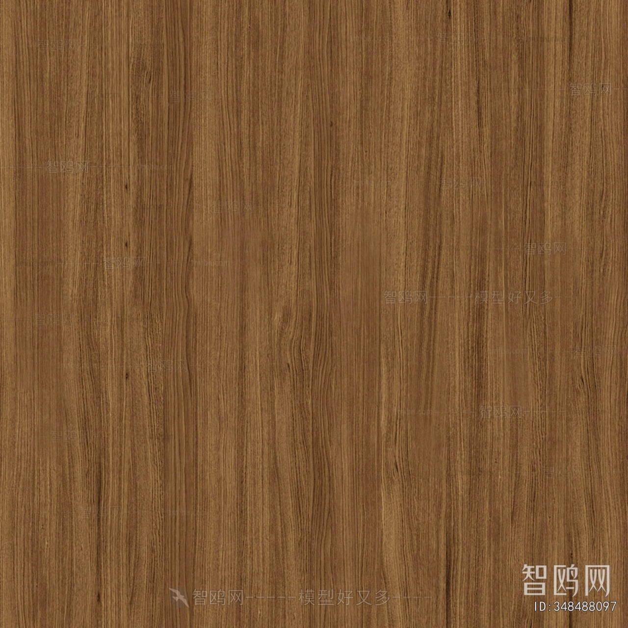 Wood Texture