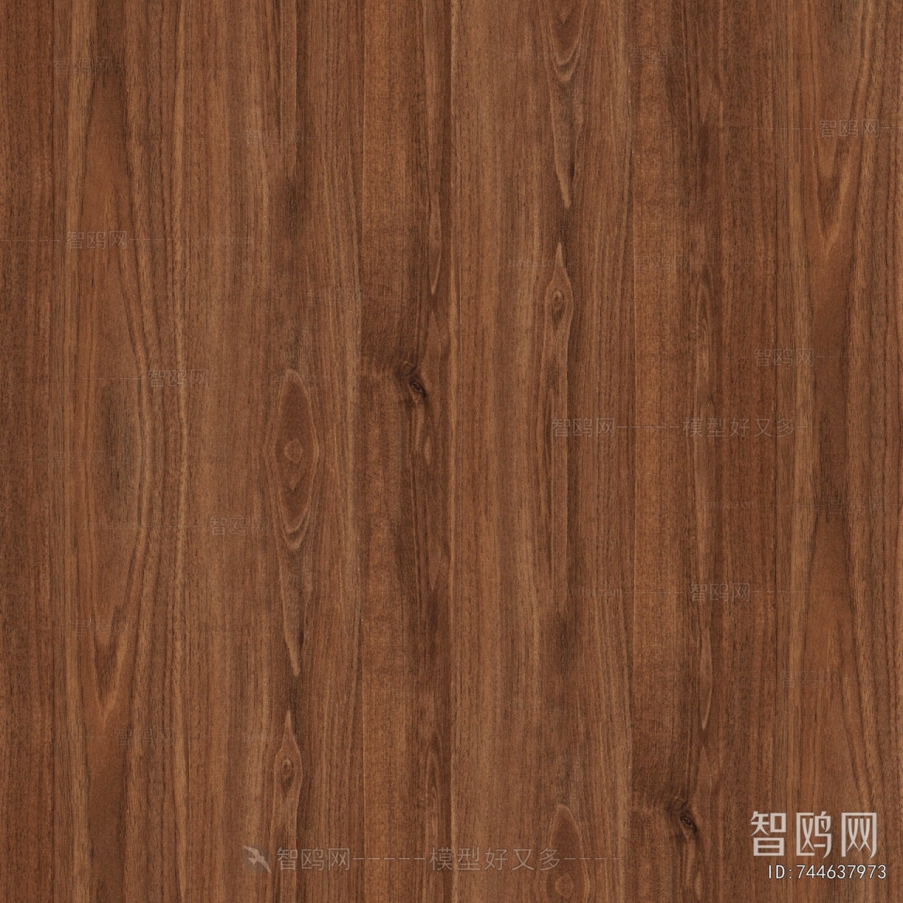 Wood Texture
