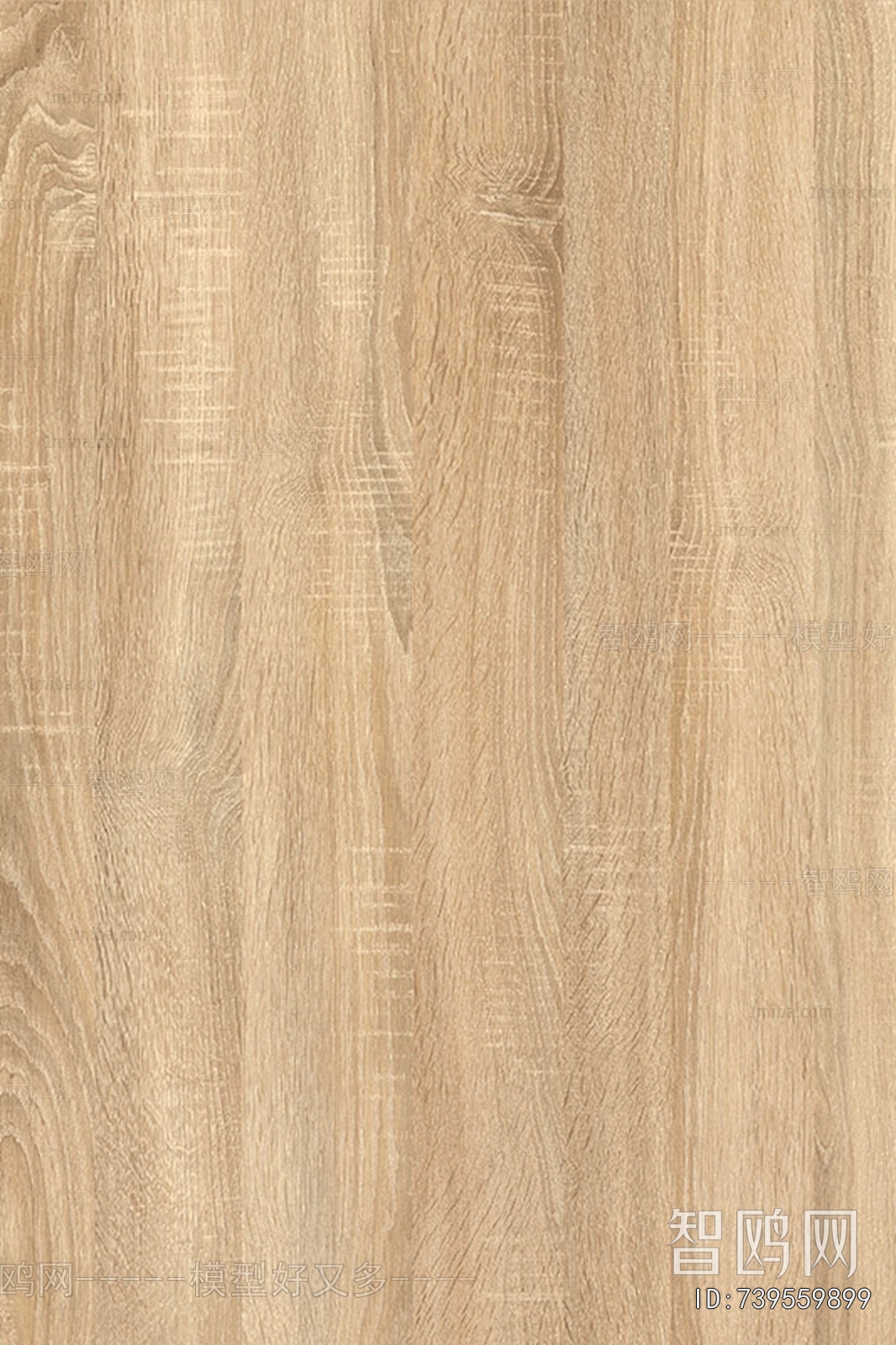 Wood Texture