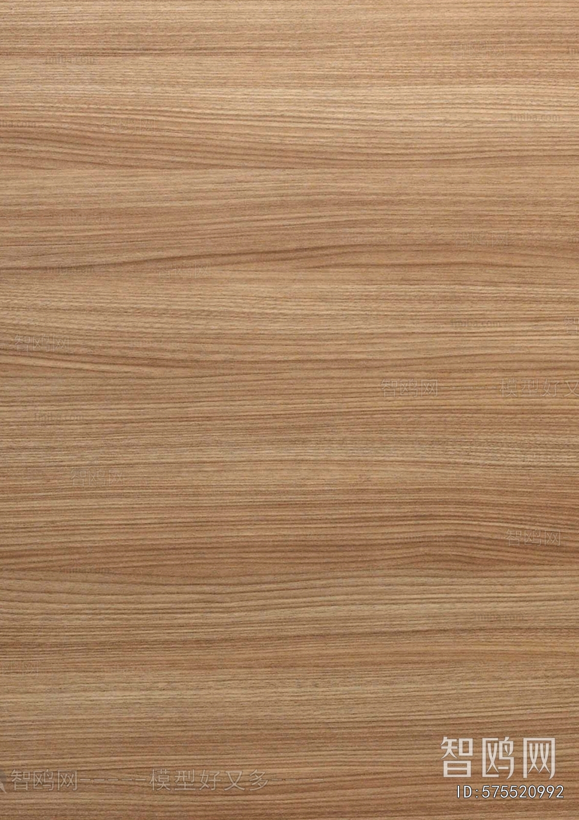Wood Texture