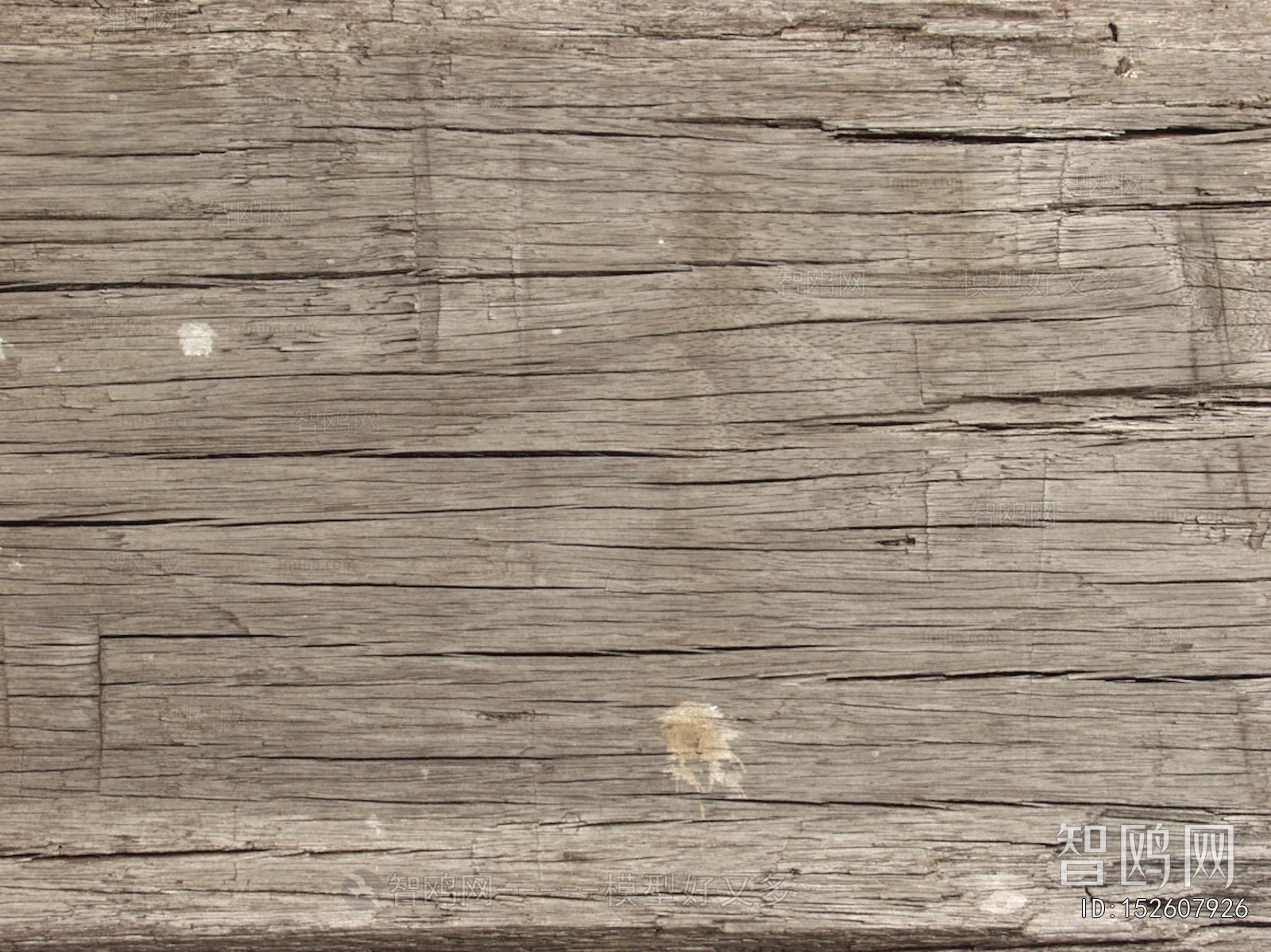 Wood Texture