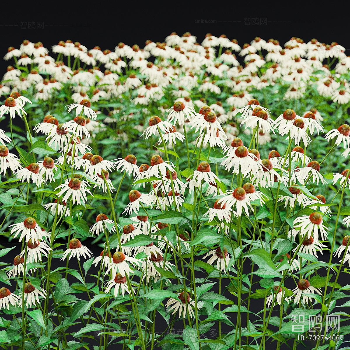 Modern Flowers And Grass