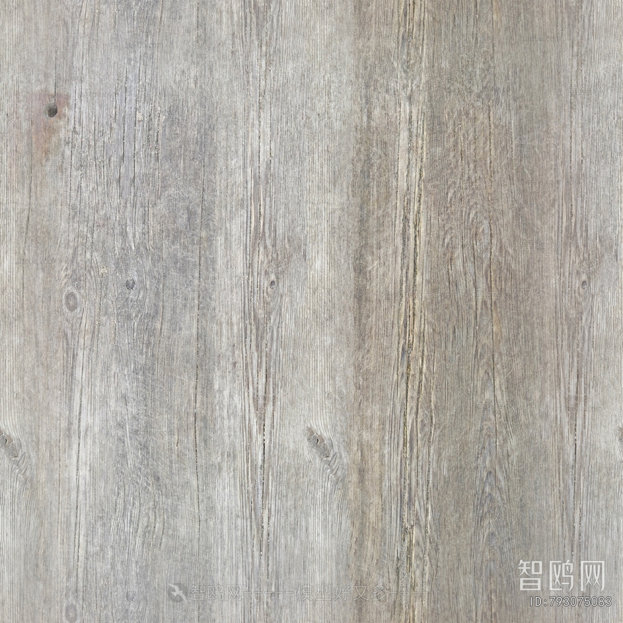 Wood Texture