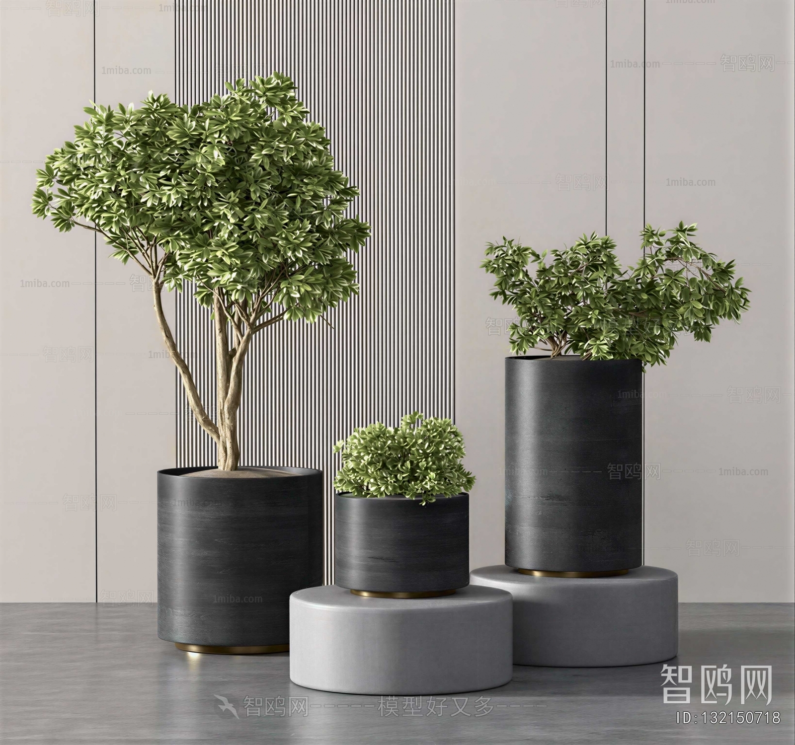 Modern Ground Green Plant Potted Plants
