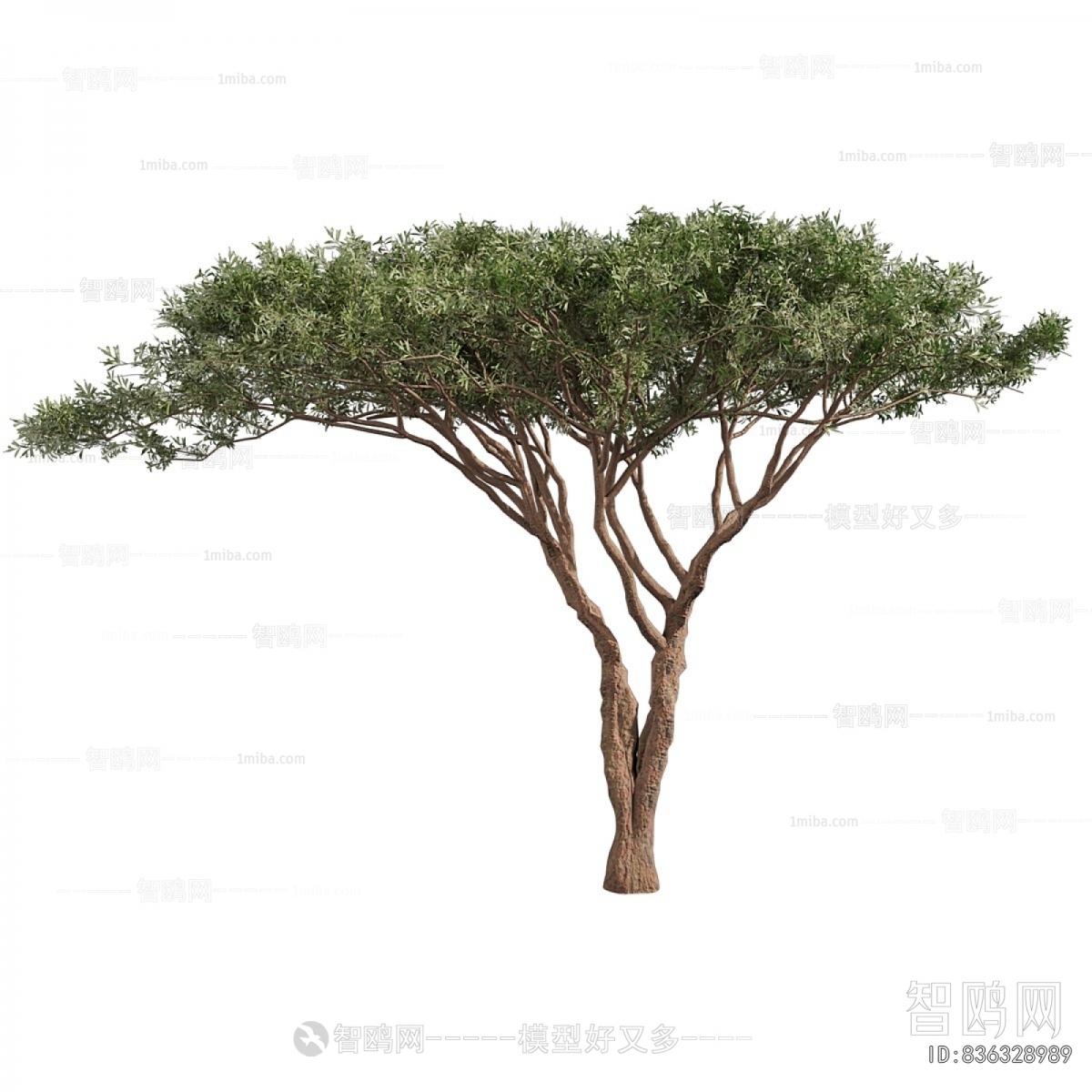Modern Tree