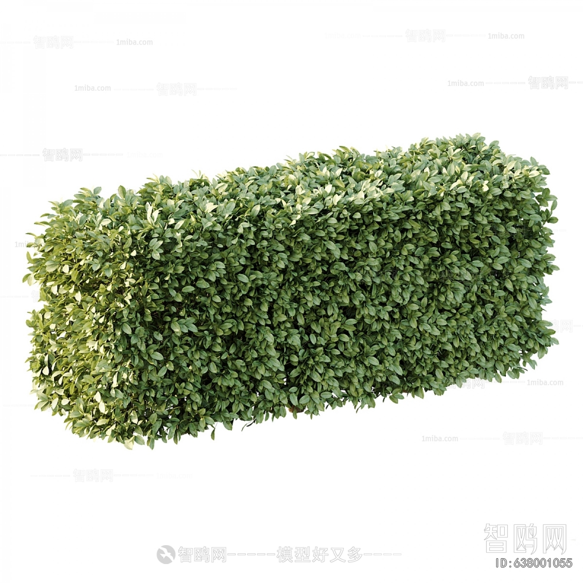 Modern Shrubbery