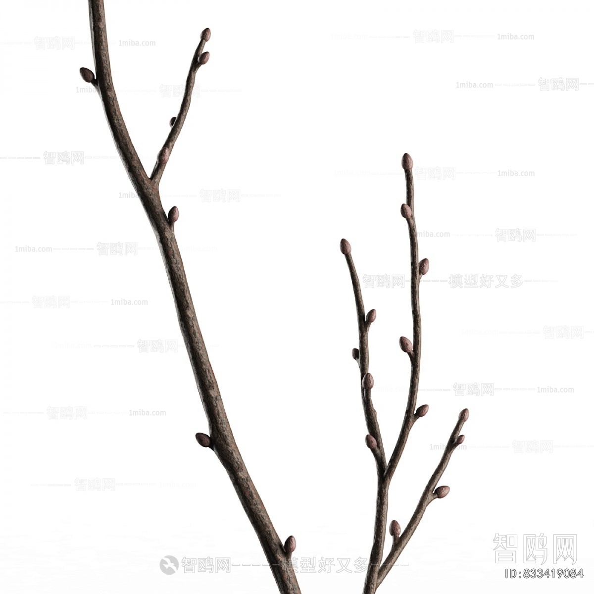 Wabi-sabi Style Dried Branch