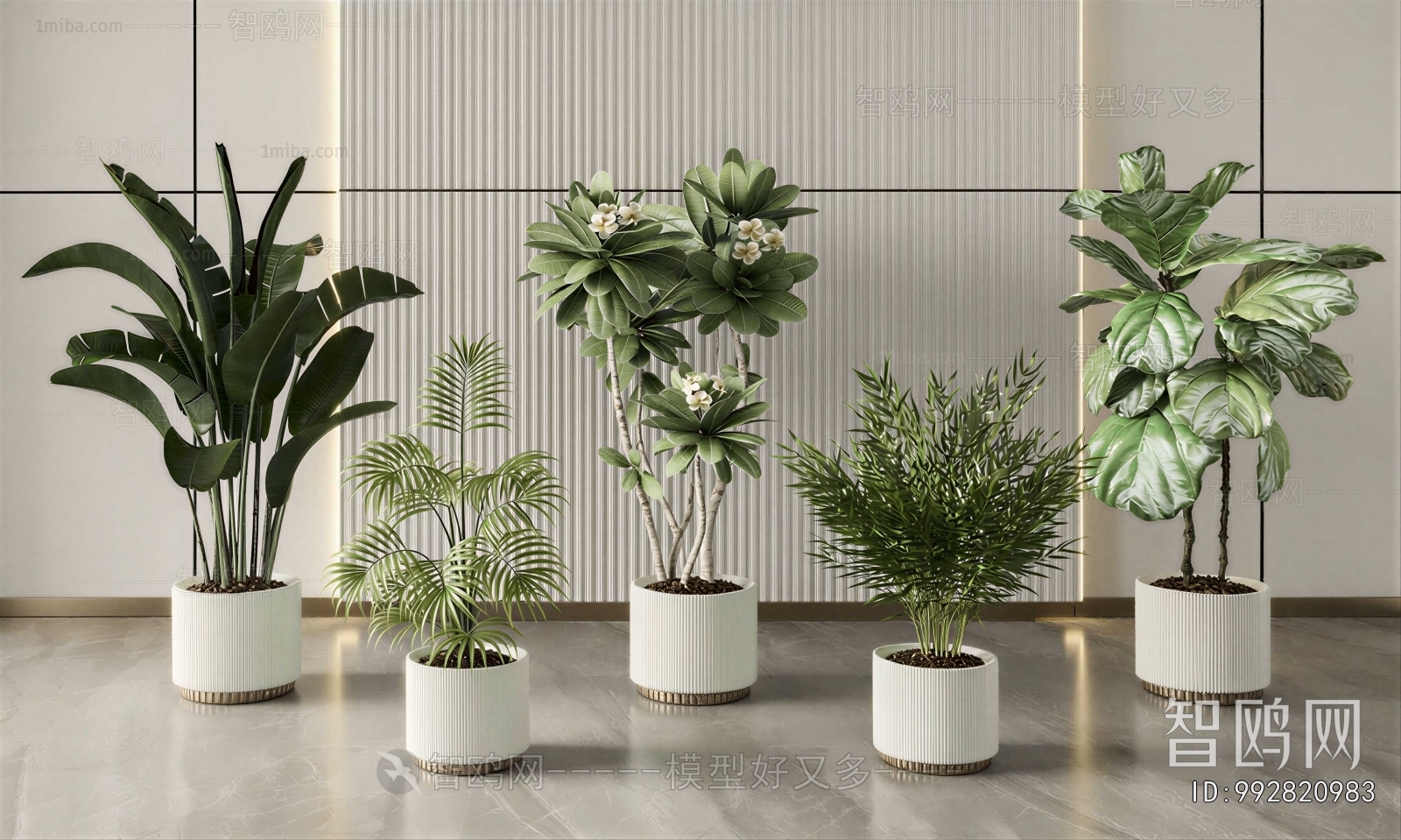 Modern Ground Green Plant Potted Plants