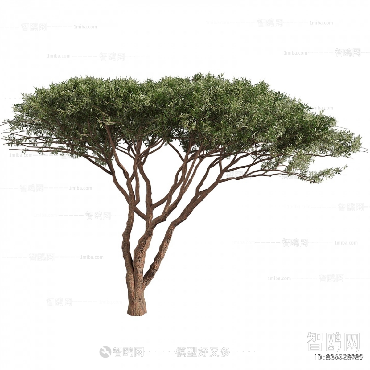 Modern Tree