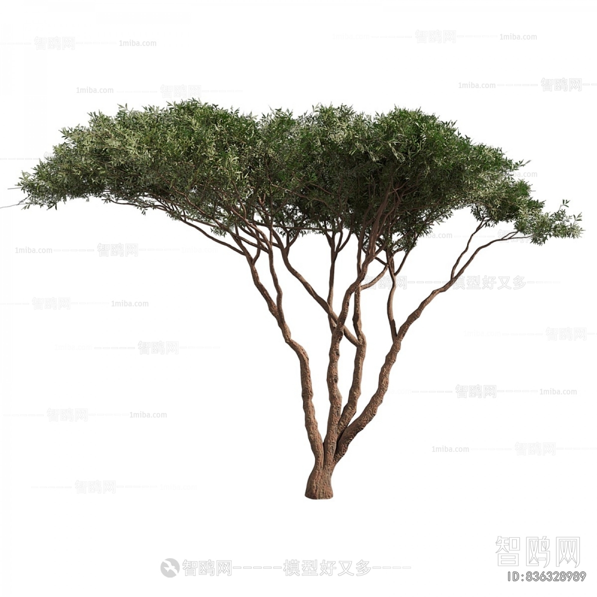 Modern Tree