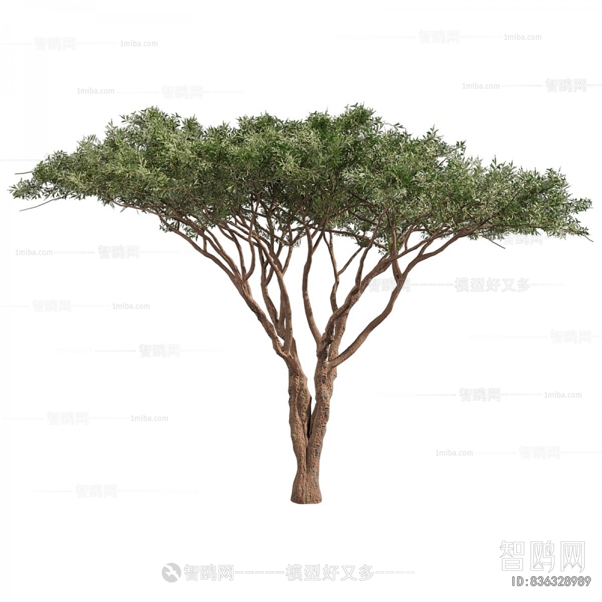 Modern Tree
