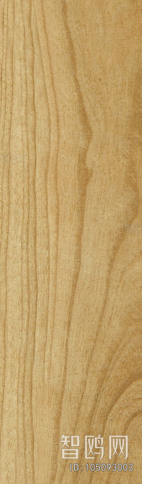 Wood Texture