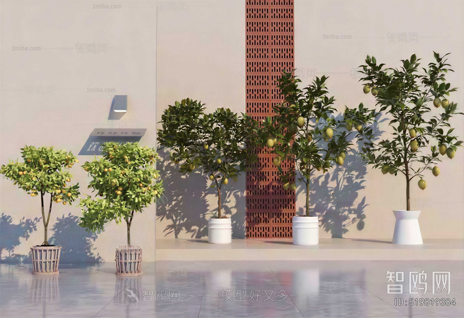 Modern Ground Green Plant Potted Plants