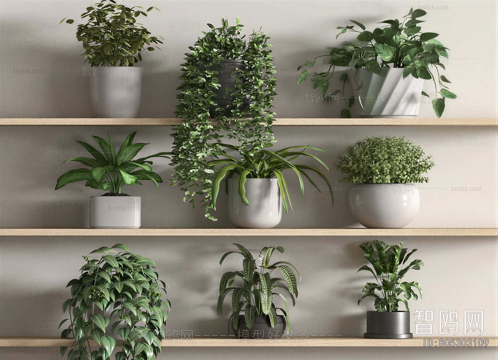 Modern Potted Green Plant