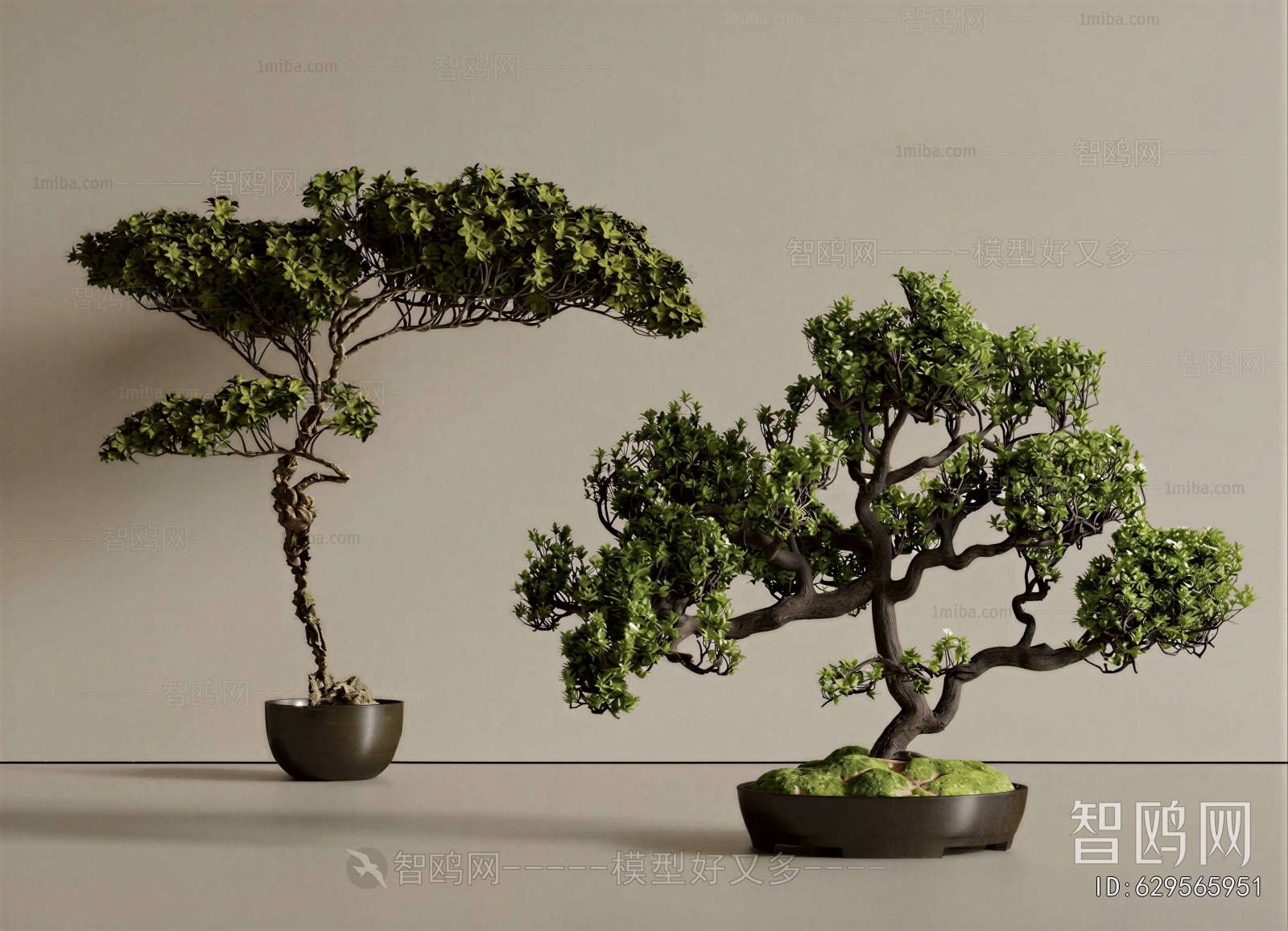 New Chinese Style Ground Green Plant Potted Plants