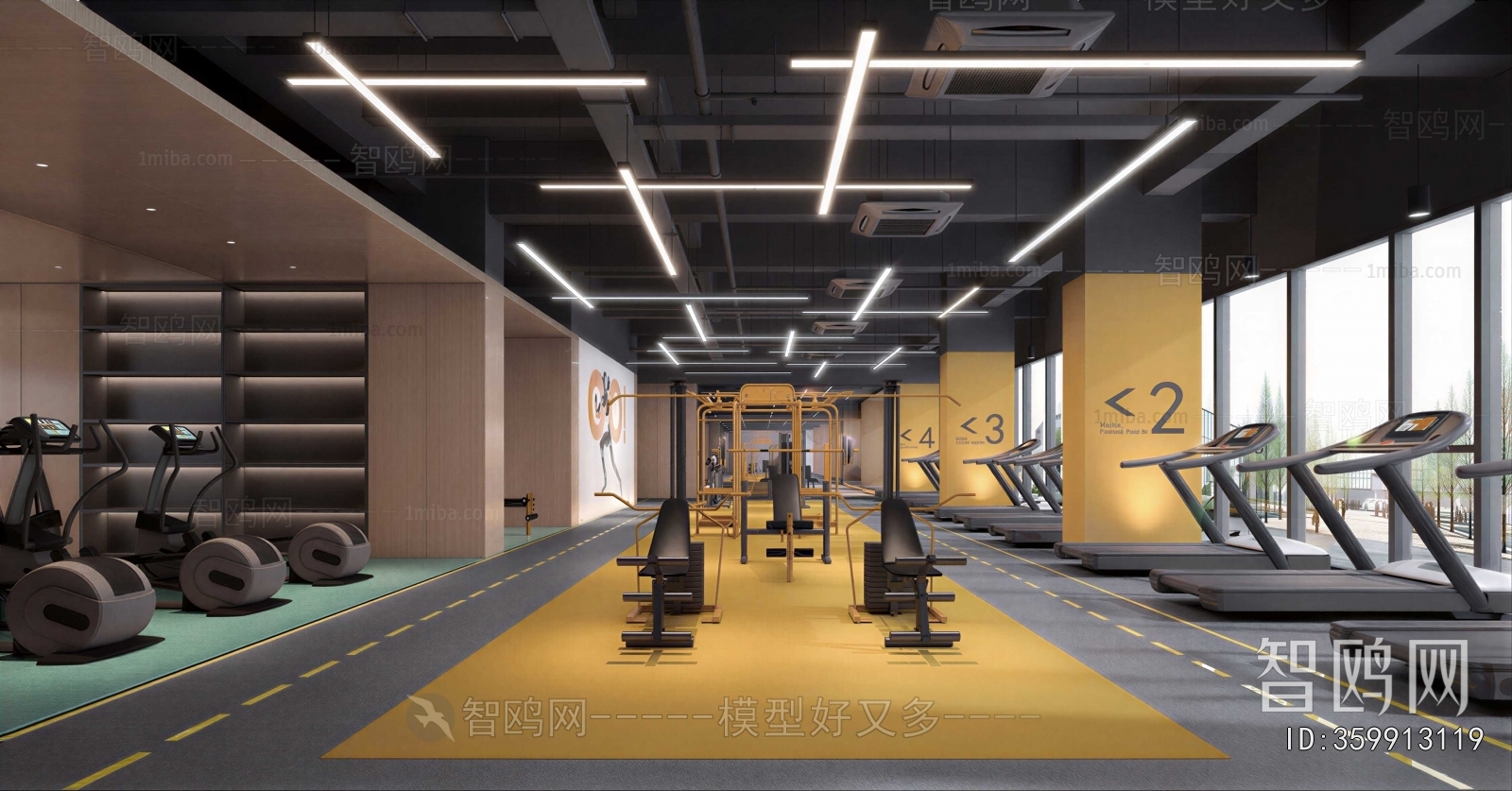 Modern Gym