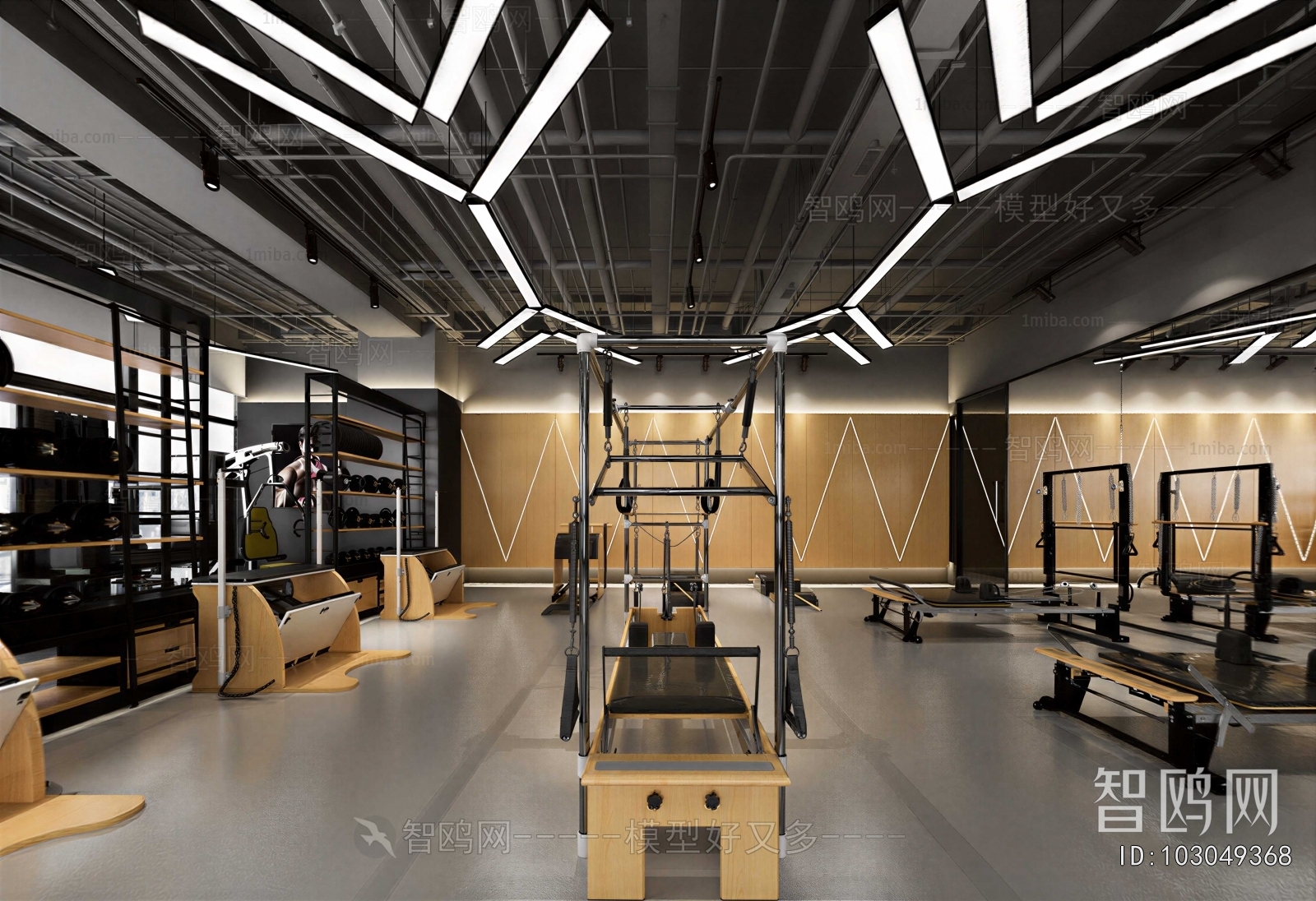 Modern Gym