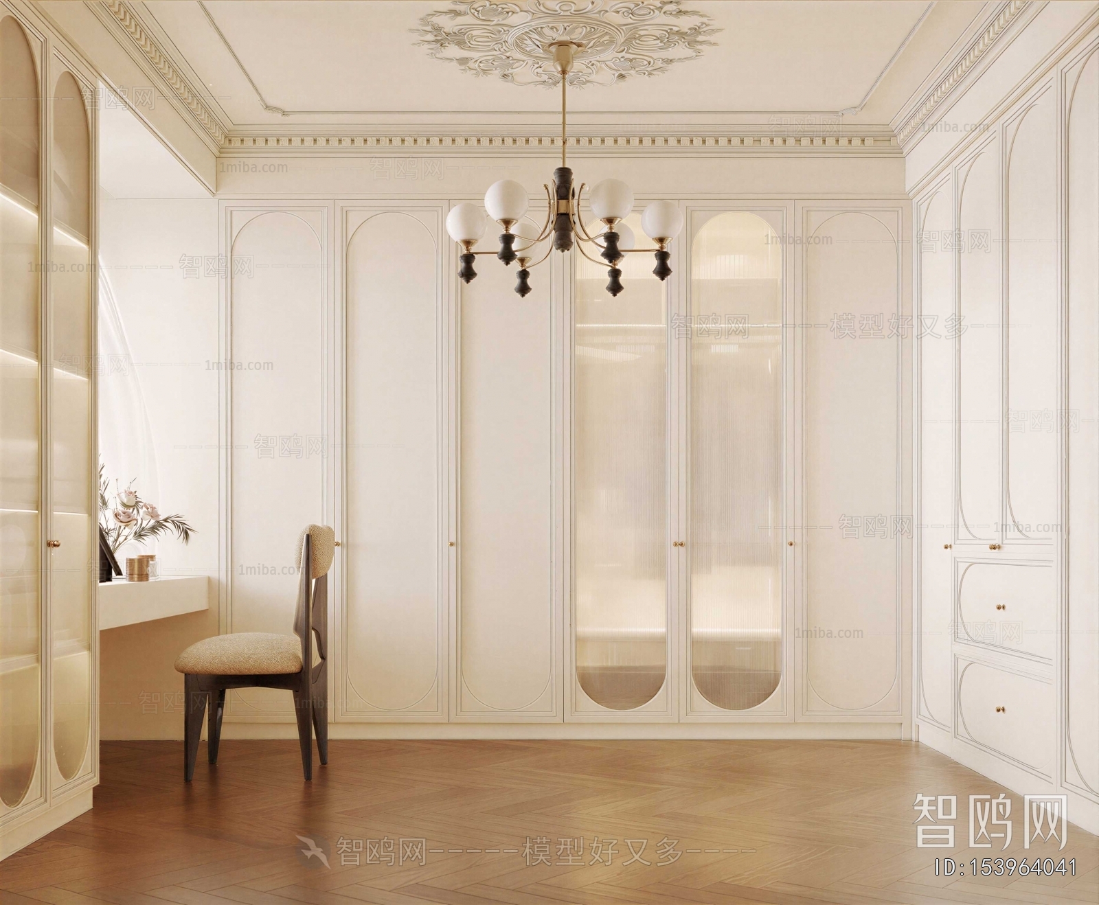 American Style Clothes Storage Area