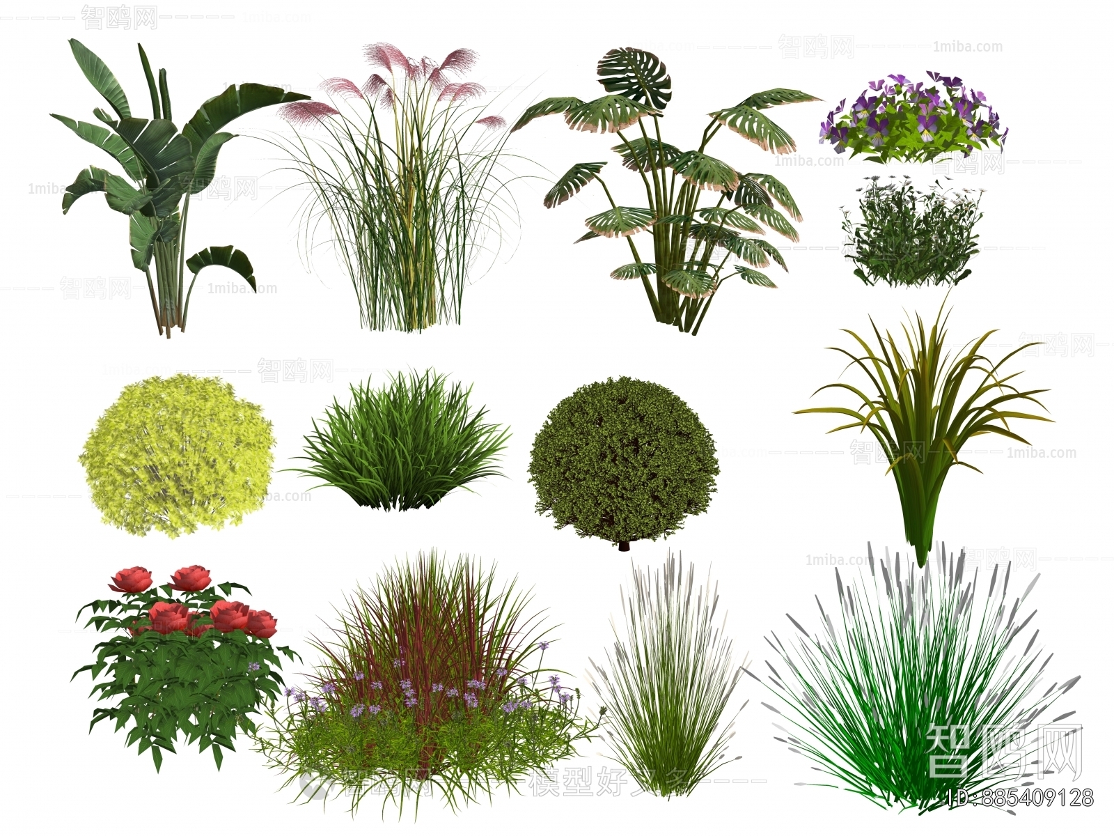 Modern Flowers And Grass