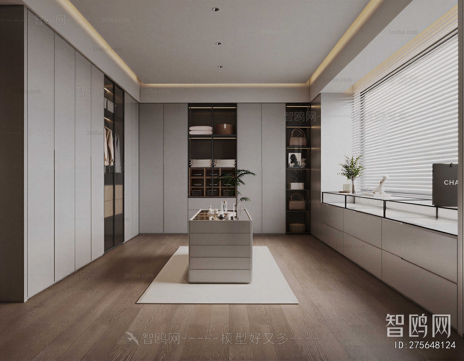 Modern Clothes Storage Area