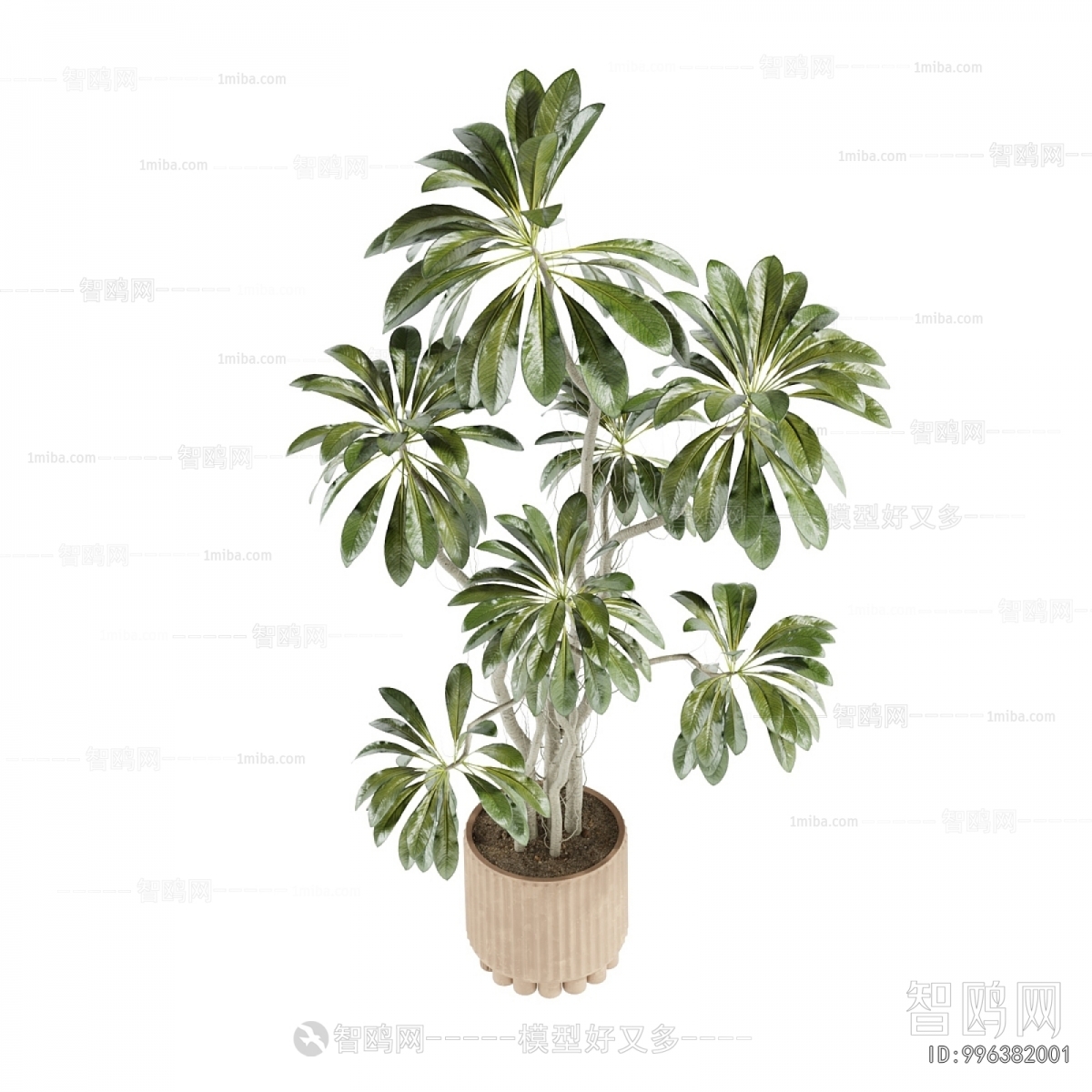 Modern Ground Green Plant Potted Plants