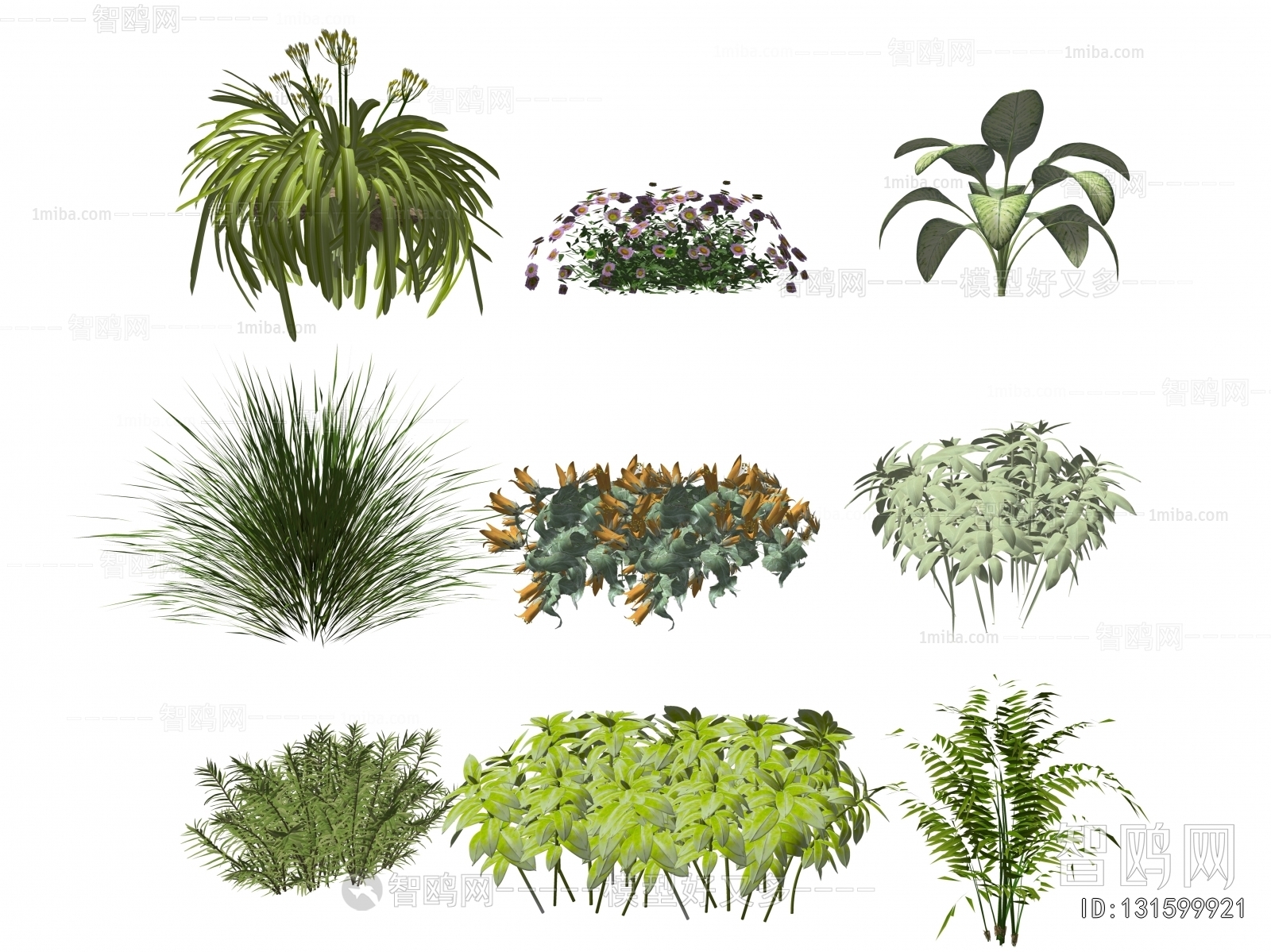 Modern Flowers And Grass