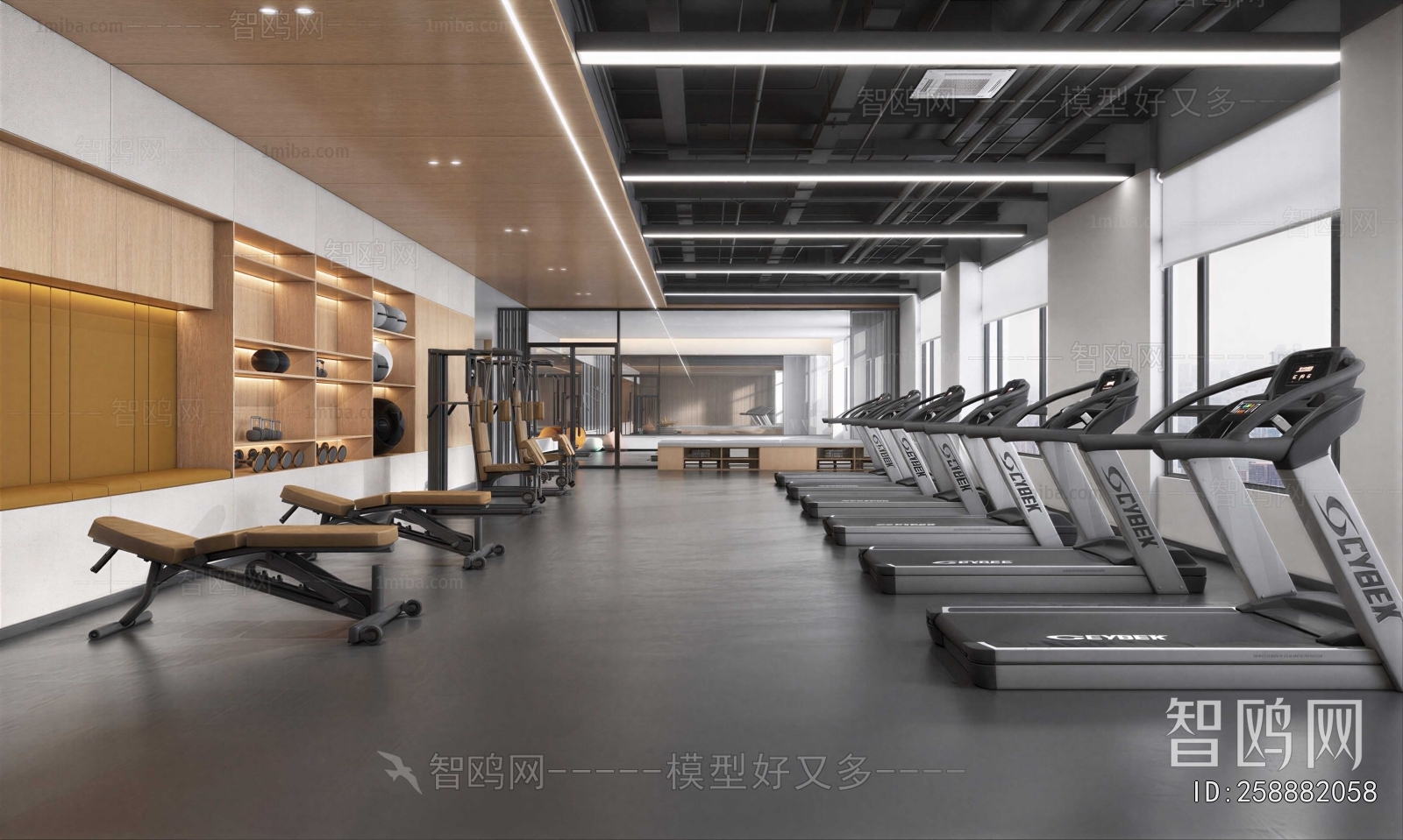 Modern Gym