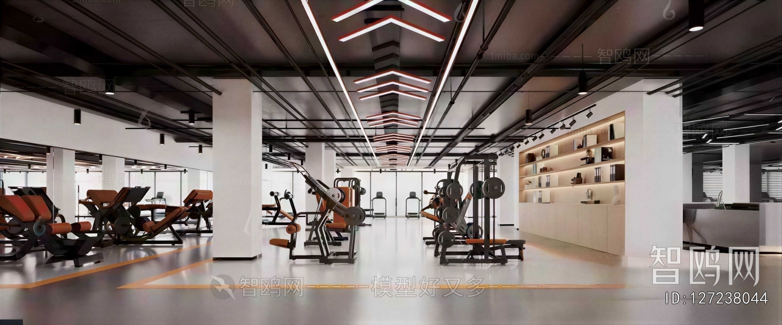Modern Gym