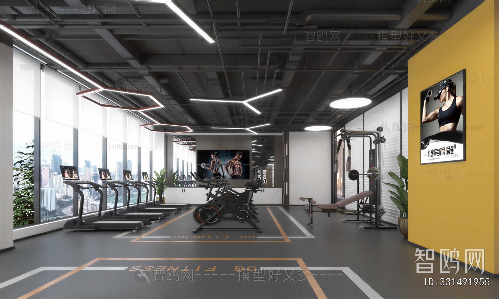Modern Gym