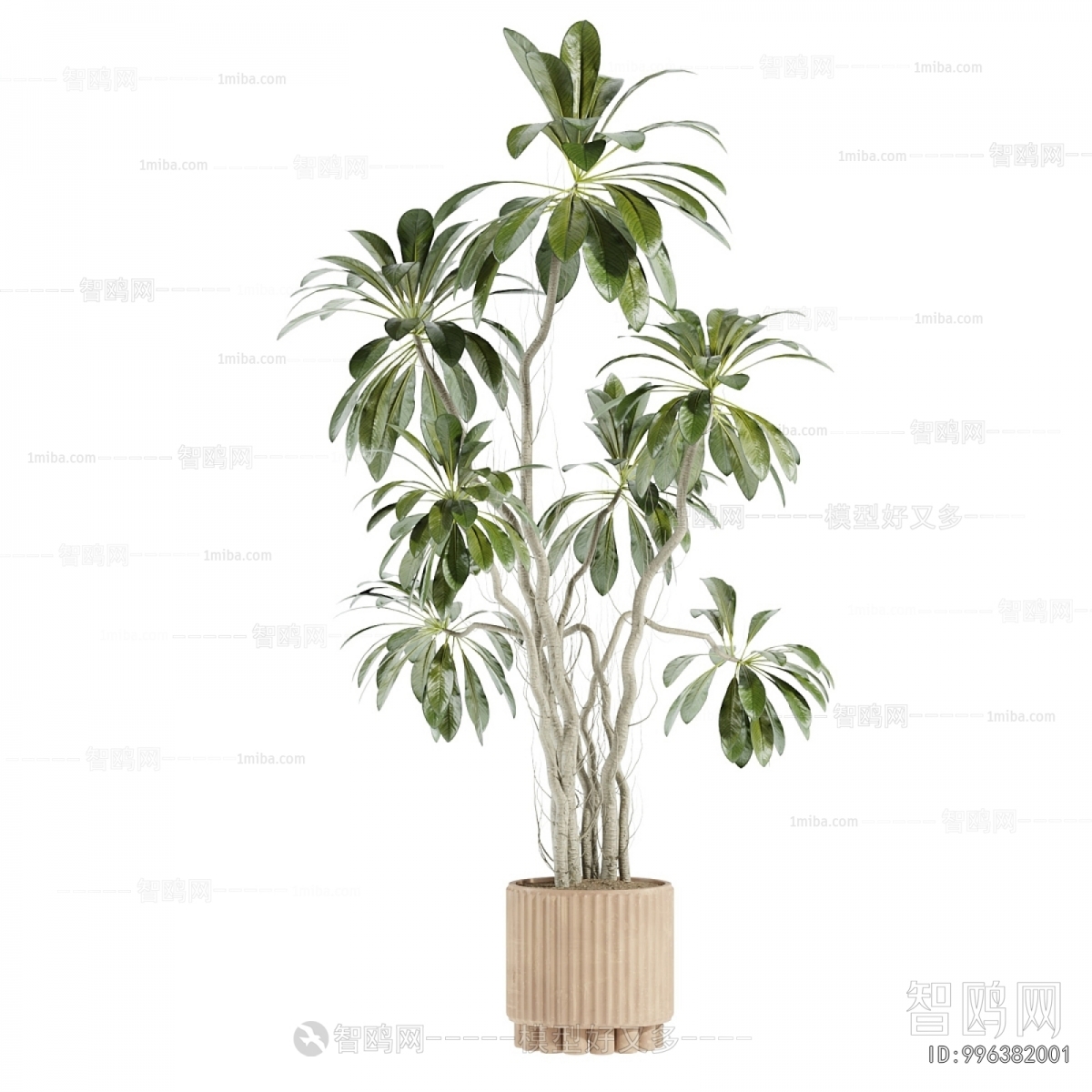 Modern Ground Green Plant Potted Plants