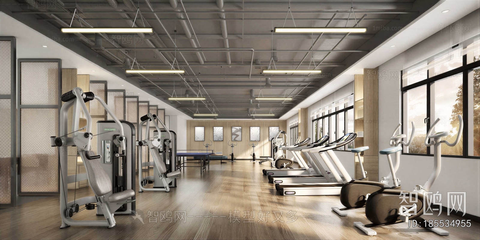 Modern Gym