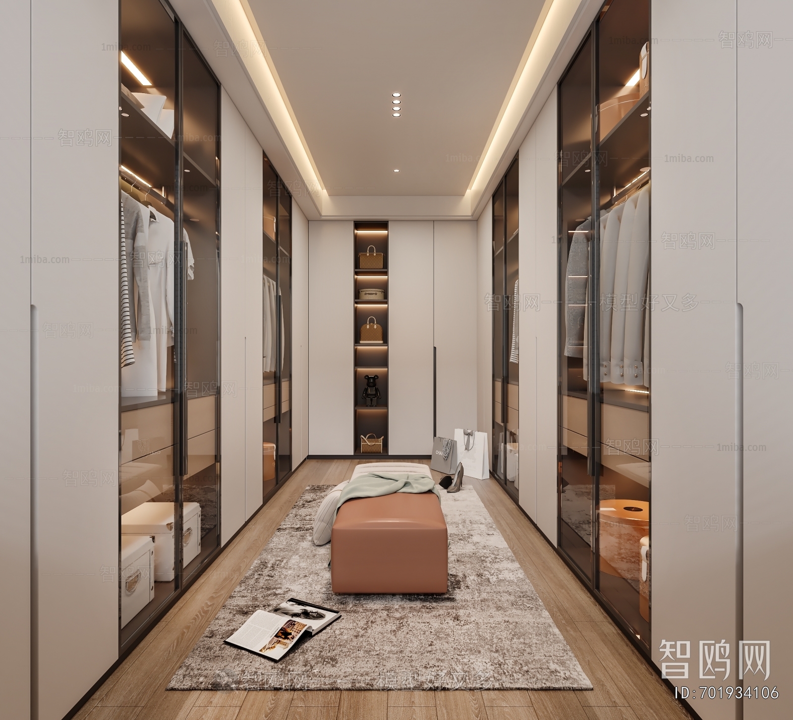 Modern Clothes Storage Area