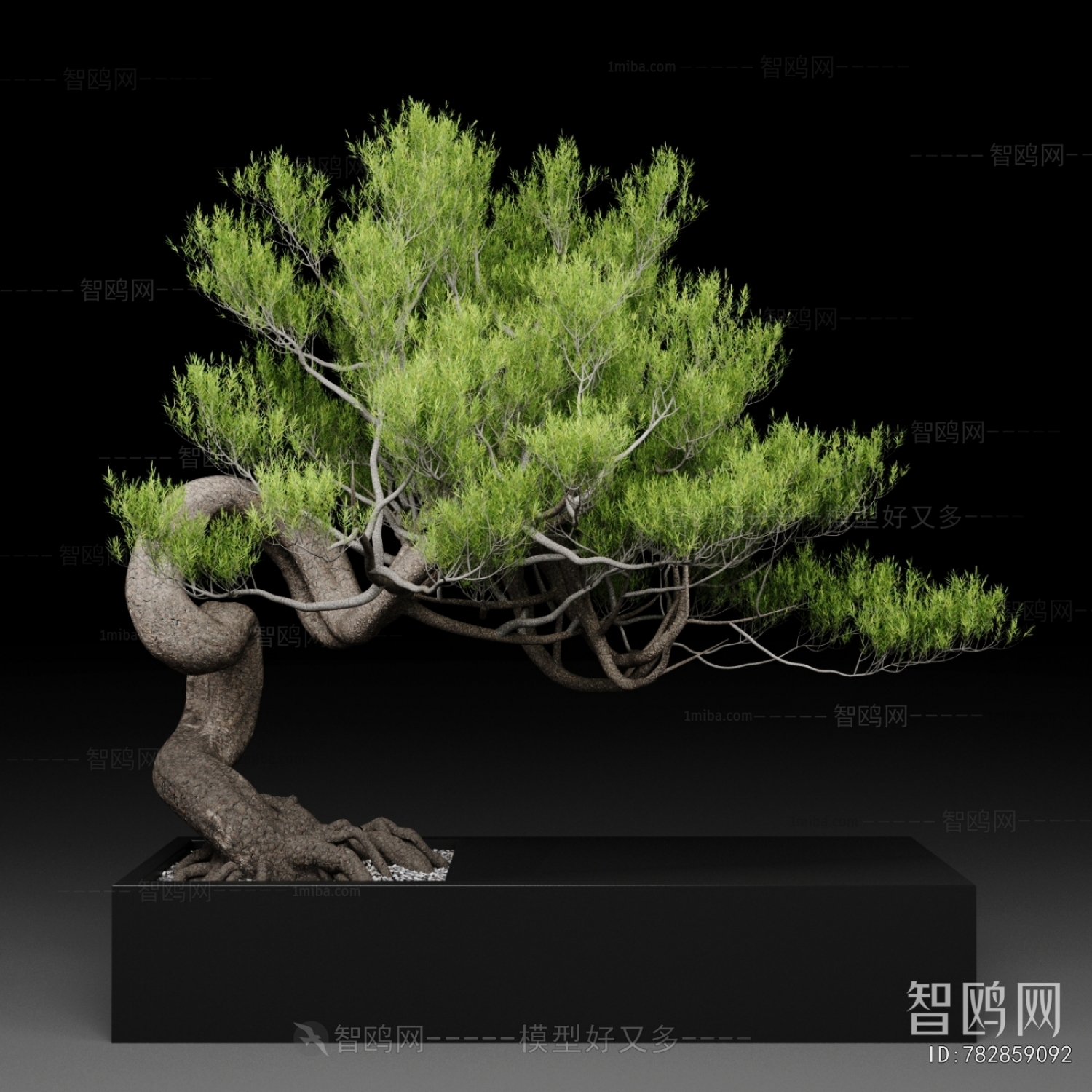 Modern Bonsai