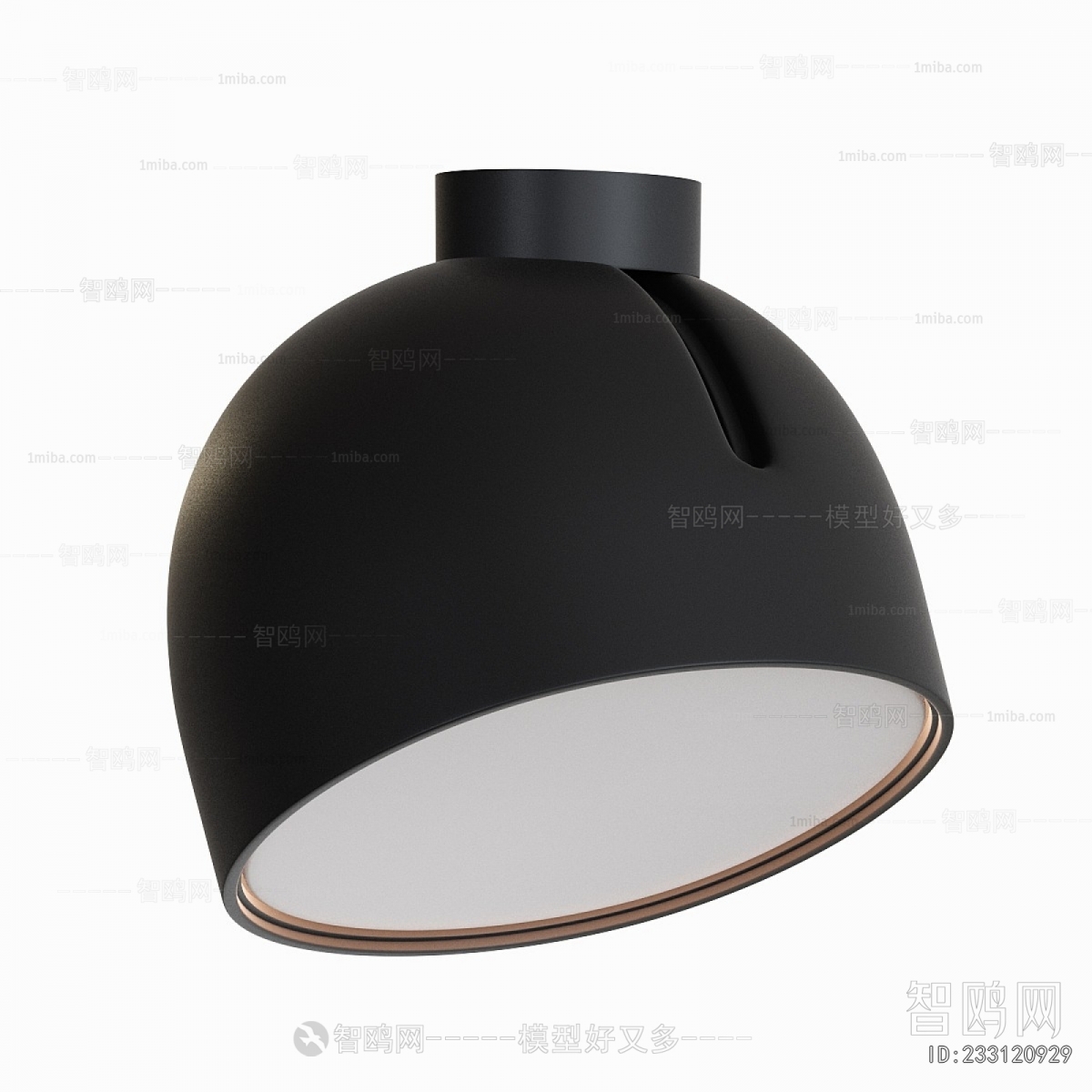 Modern Ceiling Ceiling Lamp
