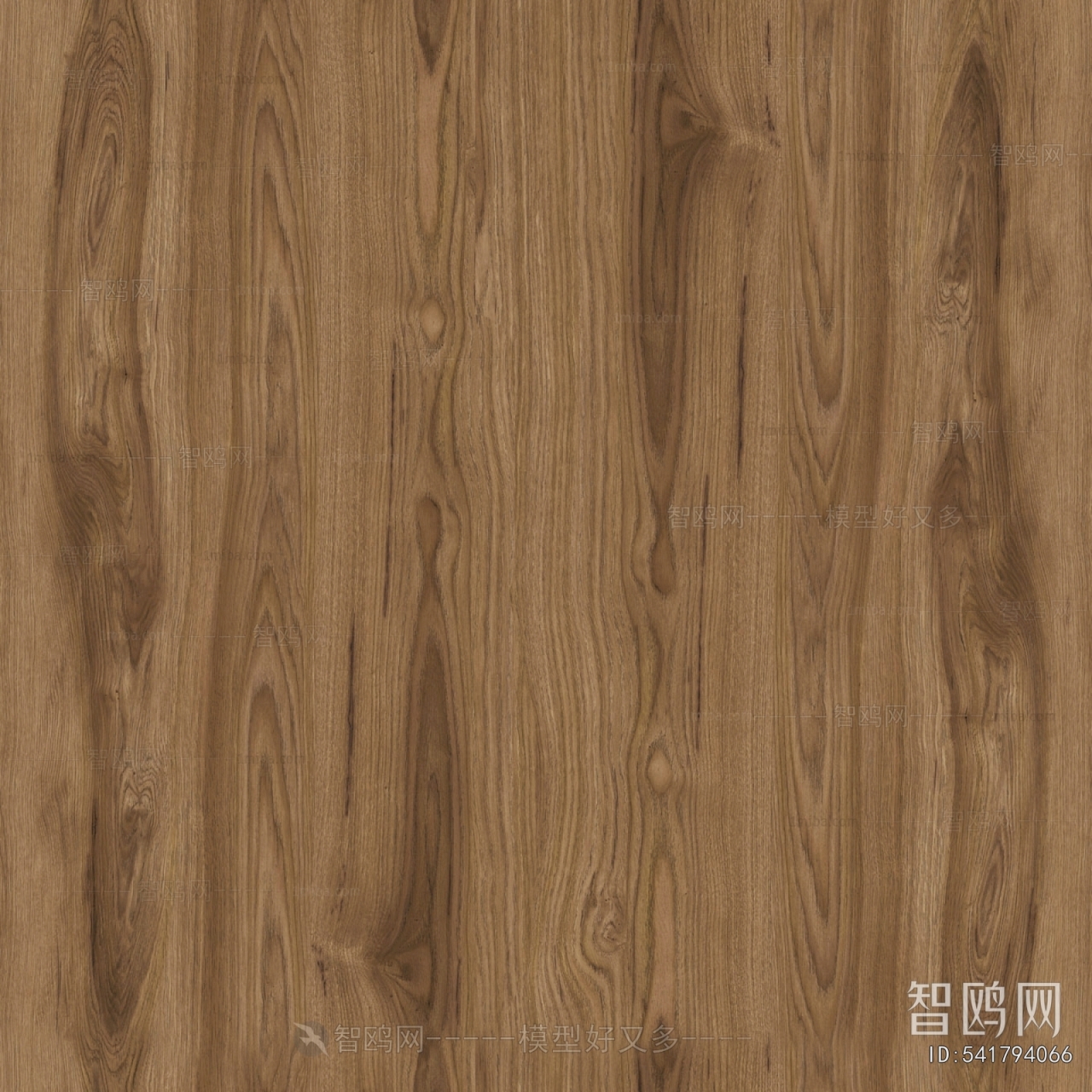 Wood Texture